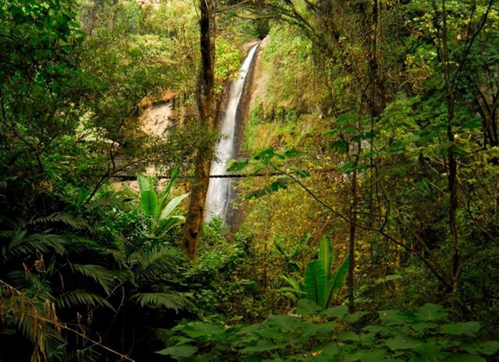 Reserva Natural Atitlan Panajachel Εξωτερικό φωτογραφία