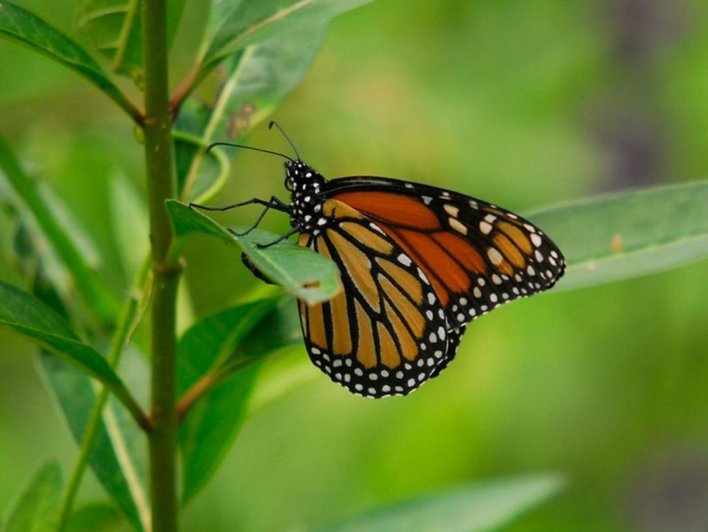 Reserva Natural Atitlan Panajachel Εξωτερικό φωτογραφία